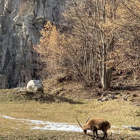 Des Lacs Chamonix